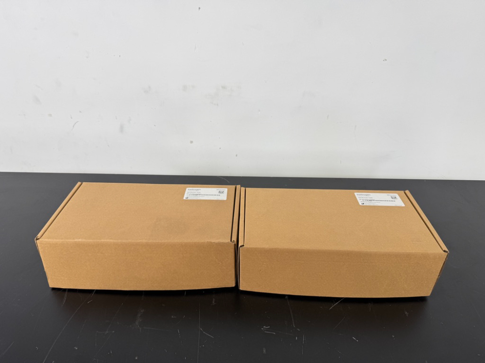 Image of Invitrogen Gel Runner Tank - Quantity 2